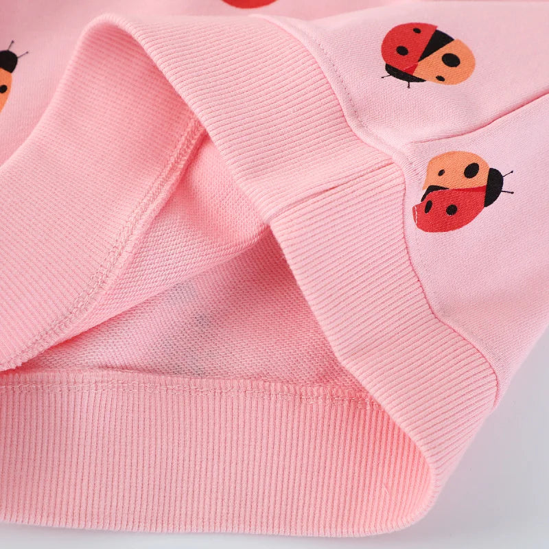 Ladybug Love Sweatshirt