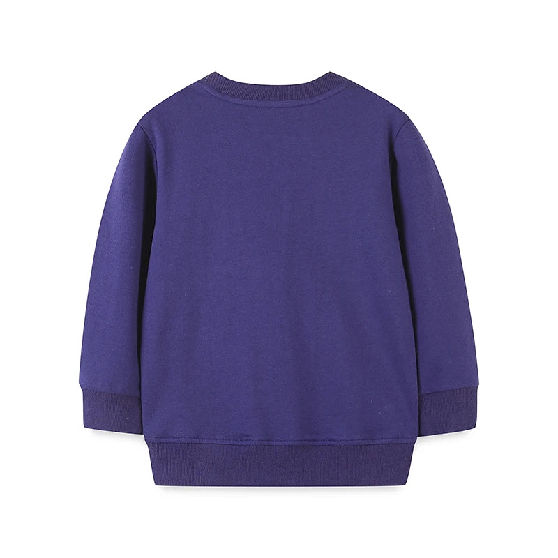 Owl Sweatshirt