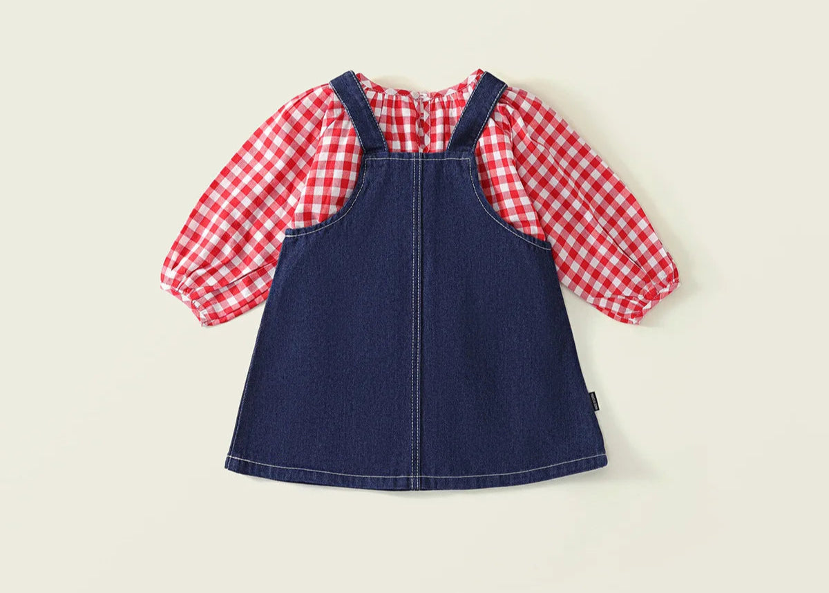 Girls Denim Skirt set with Red gingham shirt